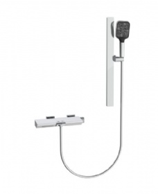 YG13053 2-Function Shower Combo